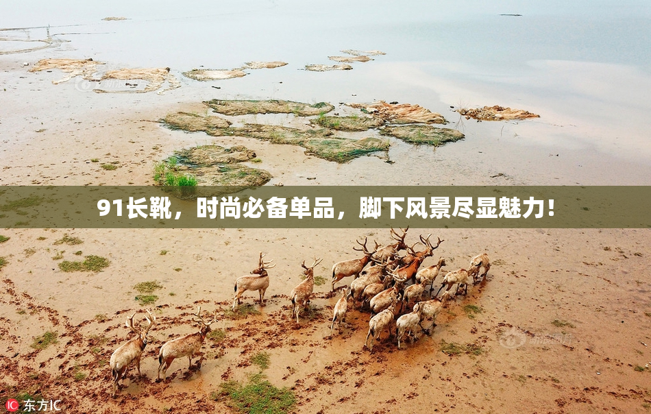 91长靴，时尚必备单品，脚下风景尽显魅力！