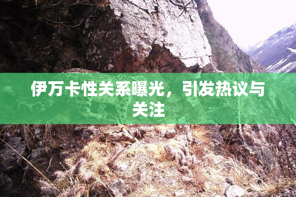 伊万卡性关系曝光，引发热议与关注