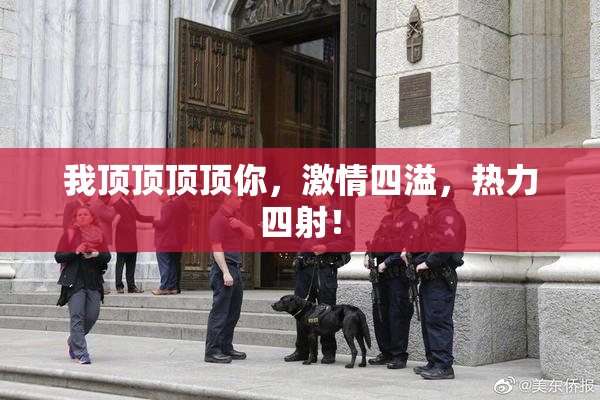 我顶顶顶顶你，激情四溢，热力四射！