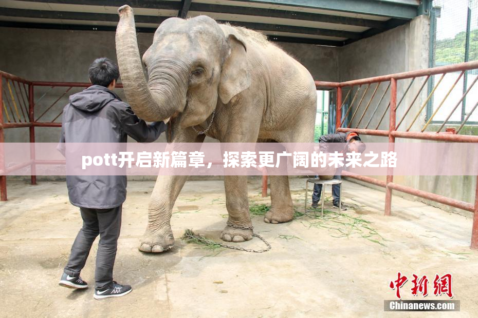 pott开启新篇章，探索更广阔的未来之路