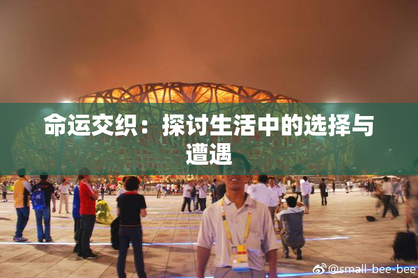 命运交织：探讨生活中的选择与遭遇