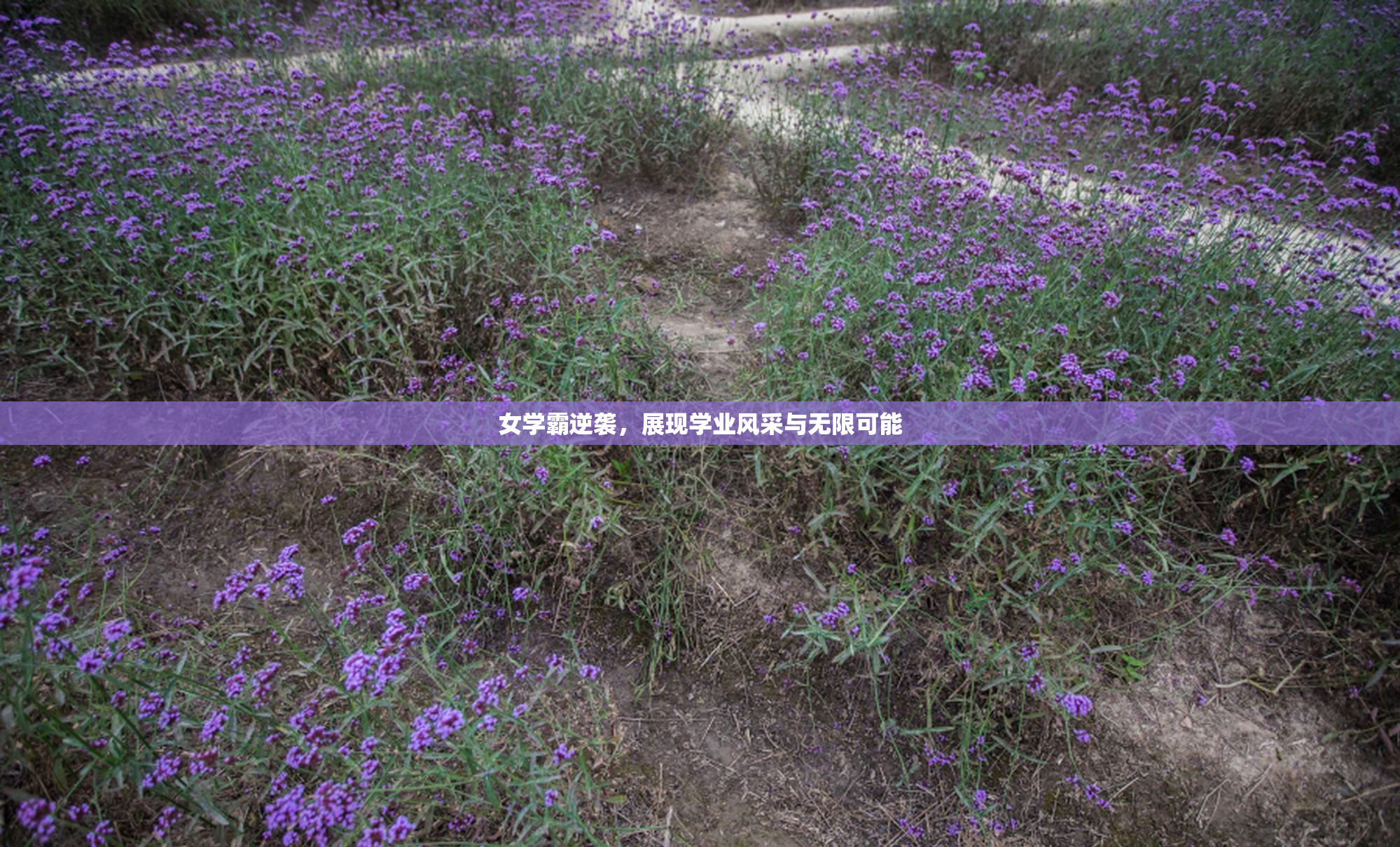 女学霸逆袭，展现学业风采与无限可能