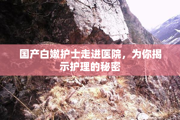 国产白嫩护士走进医院，为你揭示护理的秘密