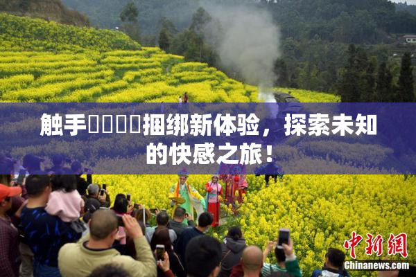 触手❌‌❌‌捆绑新体验，探索未知的快感之旅！