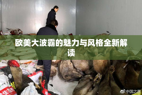 欧美大波霸的魅力与风格全新解读