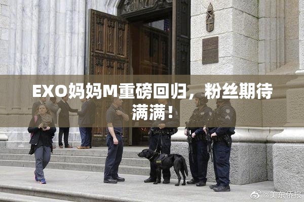 EXO妈妈M重磅回归，粉丝期待满满！