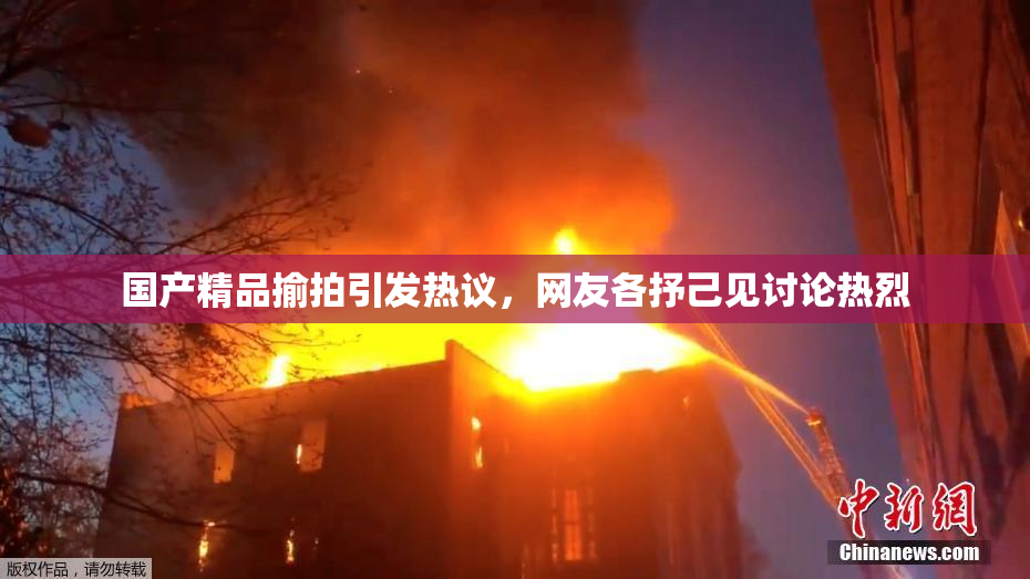 国产精品揄拍引发热议，网友各抒己见讨论热烈
