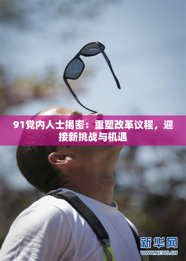 91党内人士揭密：重塑改革议程，迎接新挑战与机遇