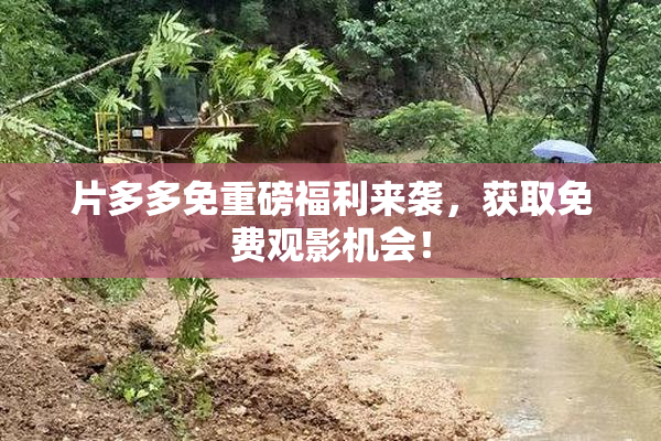 片多多免重磅福利来袭，获取免费观影机会！