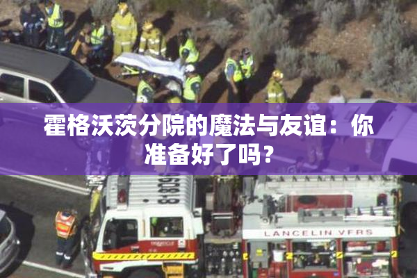 霍格沃茨分院的魔法与友谊：你准备好了吗？