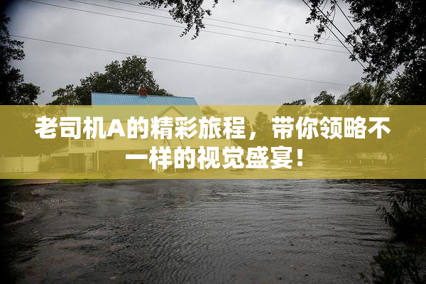 老司机A的精彩旅程，带你领略不一样的视觉盛宴！