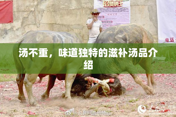 汤不重，味道独特的滋补汤品介绍