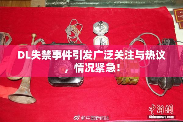 DL失禁事件引发广泛关注与热议，情况紧急！