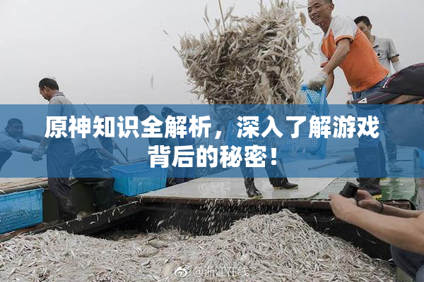 原神知识全解析，深入了解游戏背后的秘密！