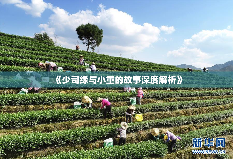 《少司缘与小重的故事深度解析》