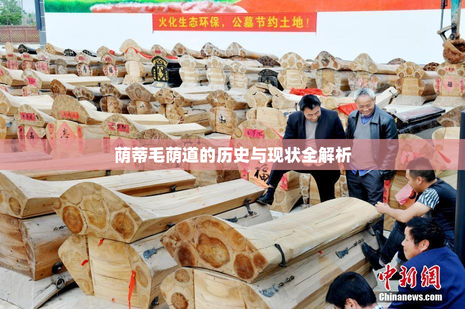 荫蒂毛荫道的历史与现状全解析