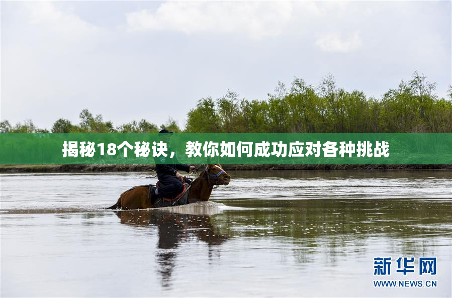揭秘18个秘诀，教你如何成功应对各种挑战