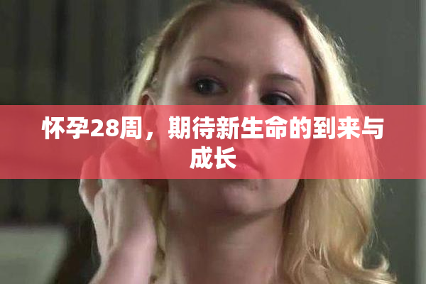 怀孕28周，期待新生命的到来与成长