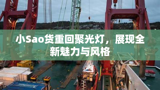 小Sao货重回聚光灯，展现全新魅力与风格