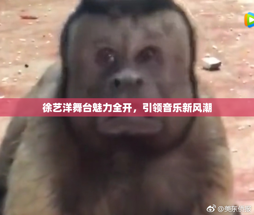 徐艺洋舞台魅力全开，引领音乐新风潮