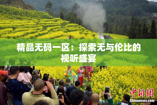 精品无码一区：探索无与伦比的视听盛宴