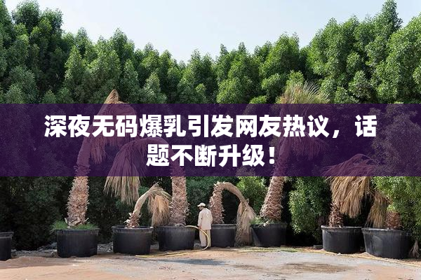 深夜无码爆乳引发网友热议，话题不断升级！