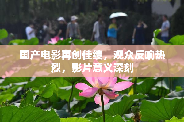国产电影再创佳绩，观众反响热烈，影片意义深刻