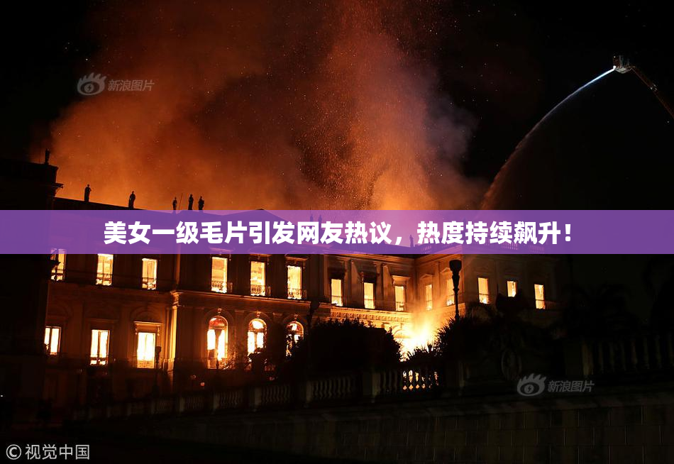 美女一级毛片引发网友热议，热度持续飙升！