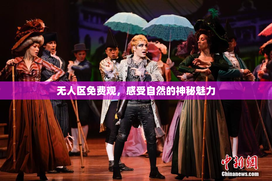 无人区免费观，感受自然的神秘魅力