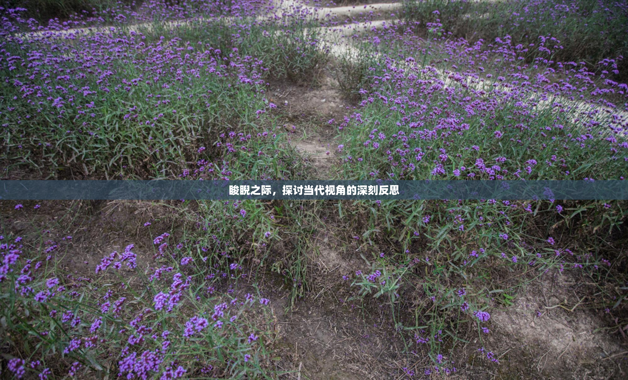 睃睨之际，探讨当代视角的深刻反思