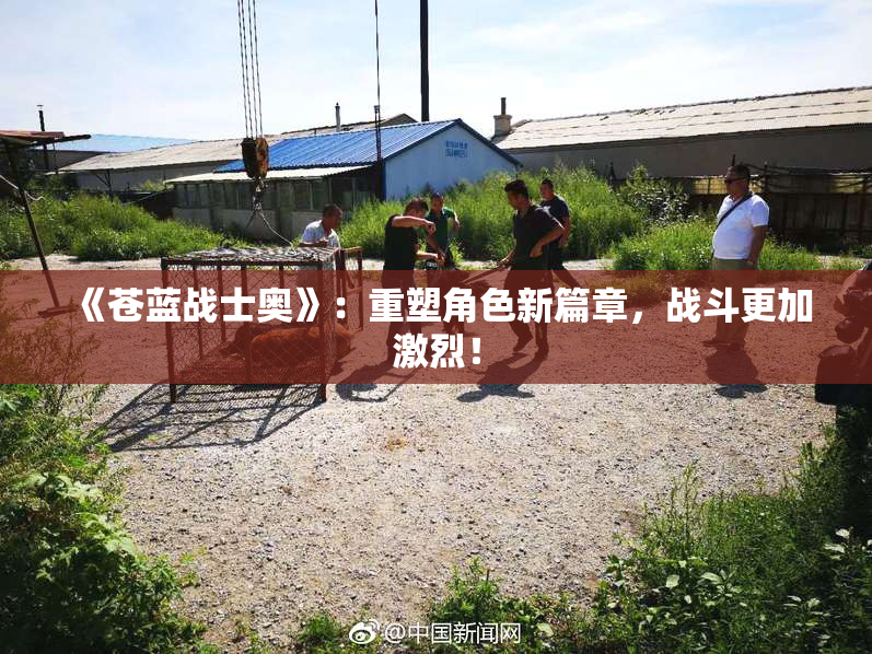 《苍蓝战士奥》：重塑角色新篇章，战斗更加激烈！