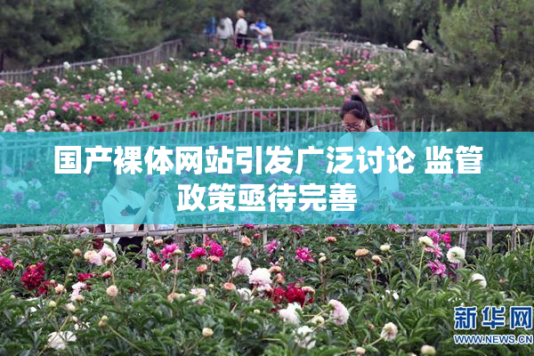 国产裸体网站引发广泛讨论 监管政策亟待完善