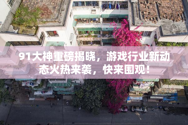 91大神重磅揭晓，游戏行业新动态火热来袭，快来围观！