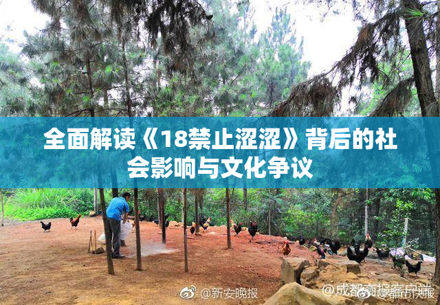 全面解读《18禁止涩涩》背后的社会影响与文化争议