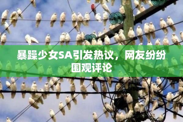暴躁少女SA引发热议，网友纷纷围观评论