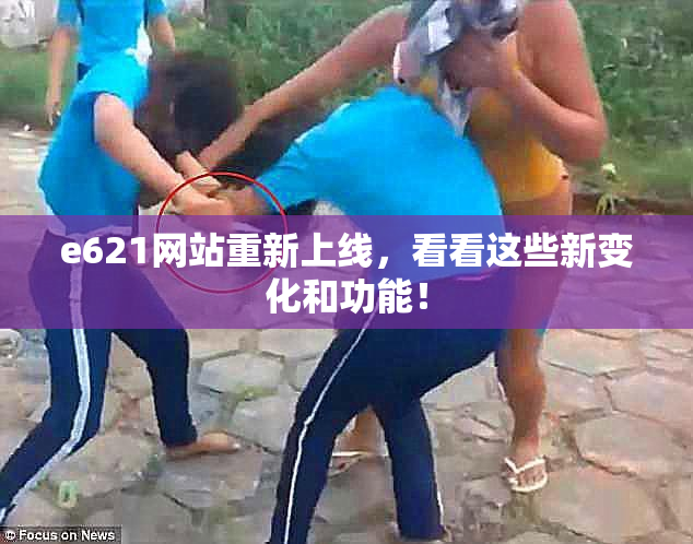 e621网站重新上线，看看这些新变化和功能！