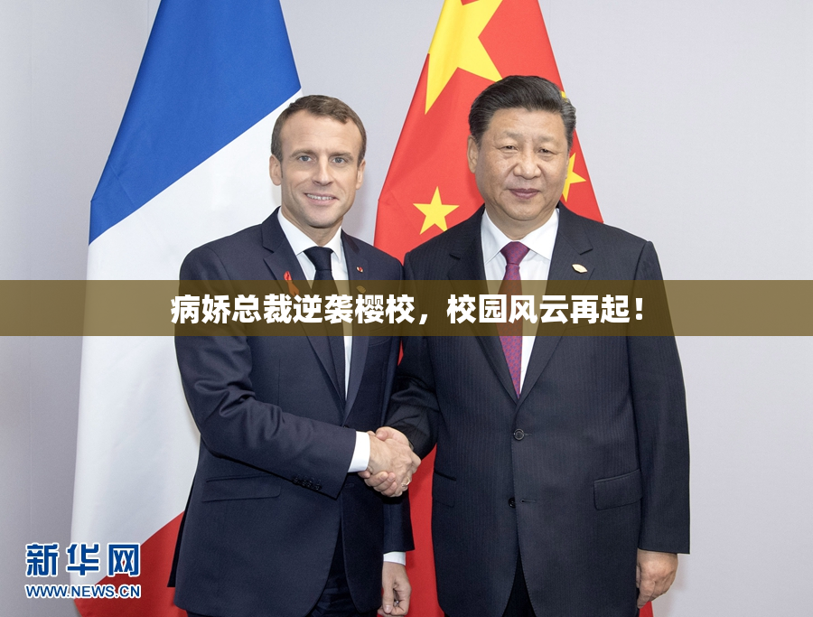 病娇总裁逆袭樱校，校园风云再起！