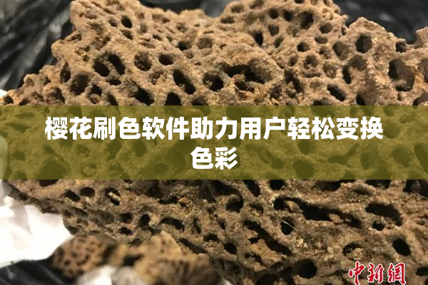 樱花刷色软件助力用户轻松变换色彩