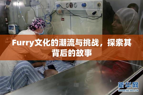 Furry文化的潮流与挑战，探索其背后的故事