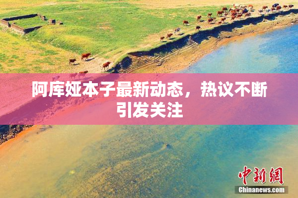 阿库娅本子最新动态，热议不断引发关注
