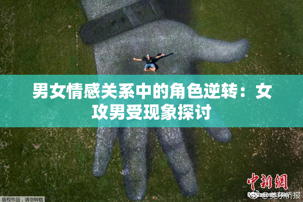 男女情感关系中的角色逆转：女攻男受现象探讨