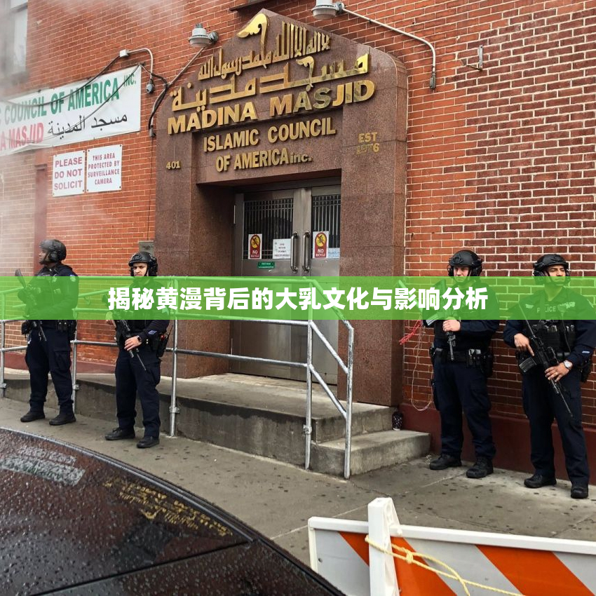 揭秘黄漫背后的大乳文化与影响分析