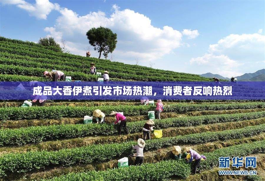 成品大香伊煮引发市场热潮，消费者反响热烈