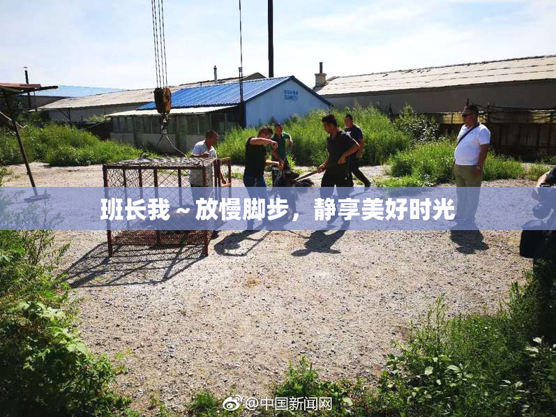 班长我～放慢脚步，静享美好时光