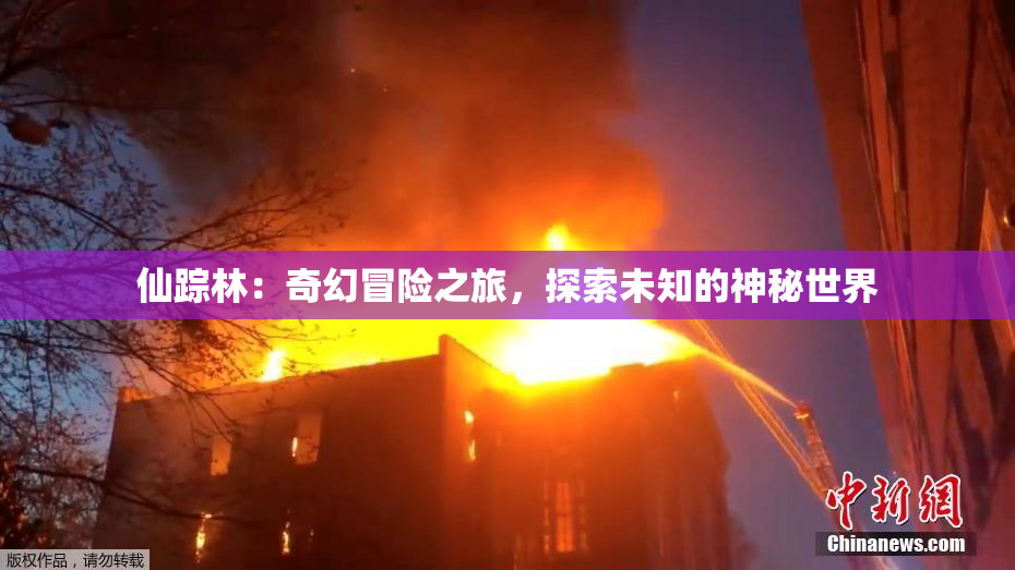 仙踪林：奇幻冒险之旅，探索未知的神秘世界