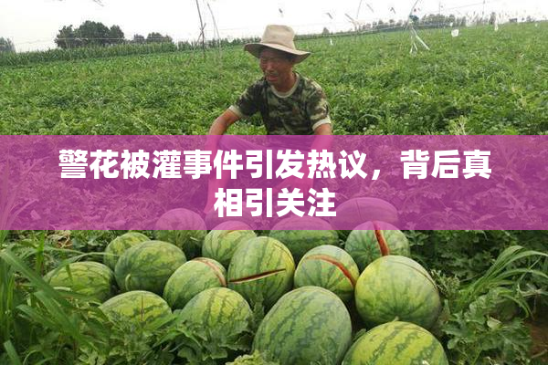 警花被灌事件引发热议，背后真相引关注