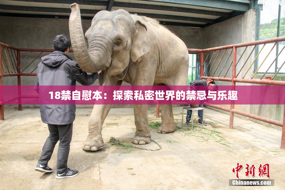 18禁自慰本：探索私密世界的禁忌与乐趣