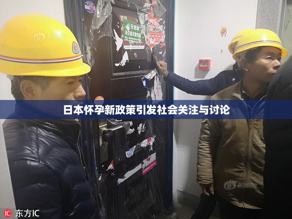 日本怀孕新政策引发社会关注与讨论