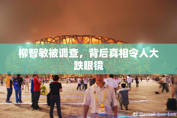 柳智敏被调查，背后真相令人大跌眼镜
