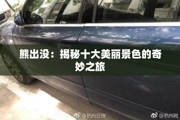 熊出没：揭秘十大美丽景色的奇妙之旅